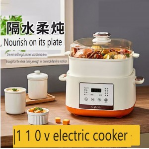 110V ceramic insulated water cooker home baby automatic bird's nest baby multi-functional complementary food porridge and soup
