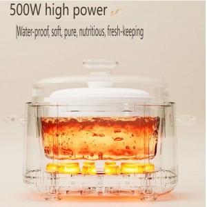 110V ceramic insulated water cooker home baby automatic bird's nest baby multi-functional complementary food porridge and soup