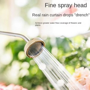 Electric watering can, sprayer, flower watering artifact, spray gun, gardening, small medicine watering, pesticide atomizing water gun