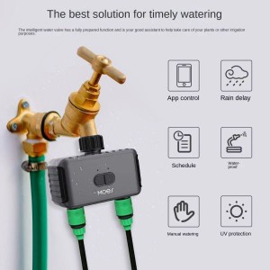 Bluetooth graffiti smart home irrigation water valve app remote control sprinkler double outlet irrigation valve timer